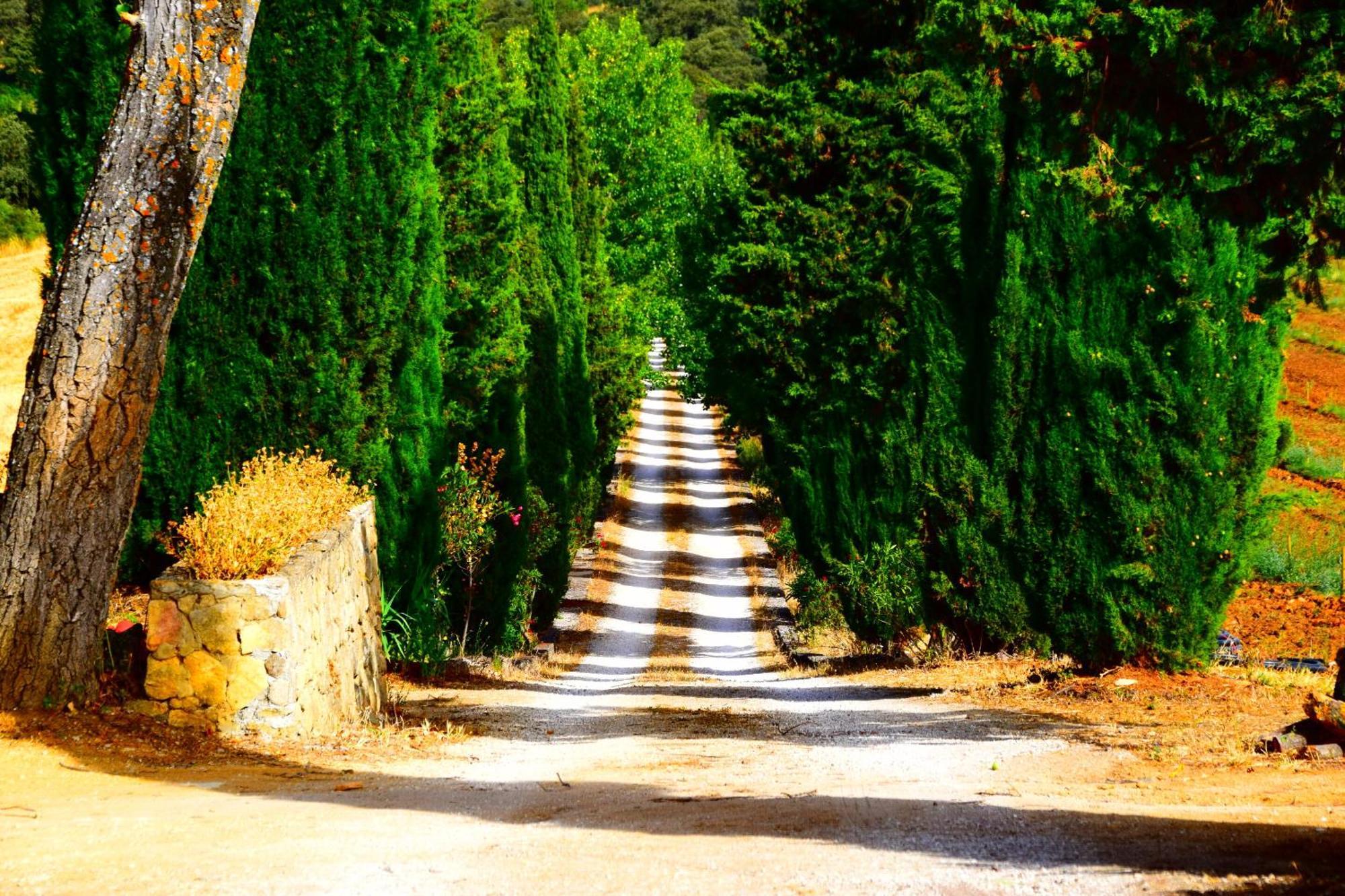 Villa Casa Alta Ronda Exteriör bild